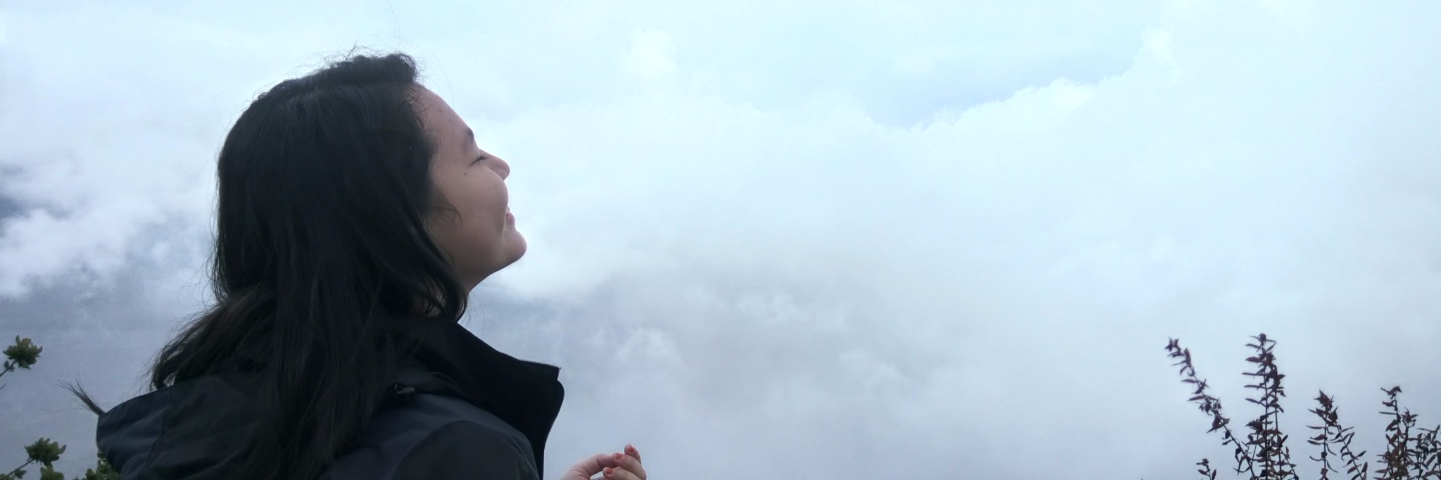 priscaisme's profile banner image