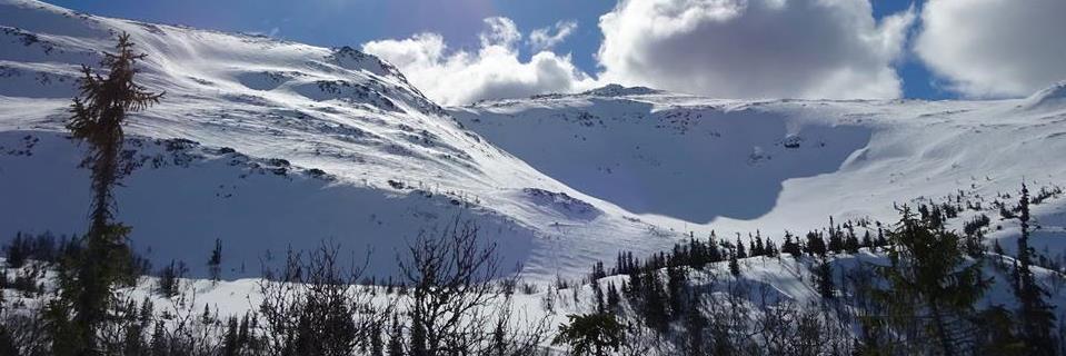 halvorflatland's profile banner image