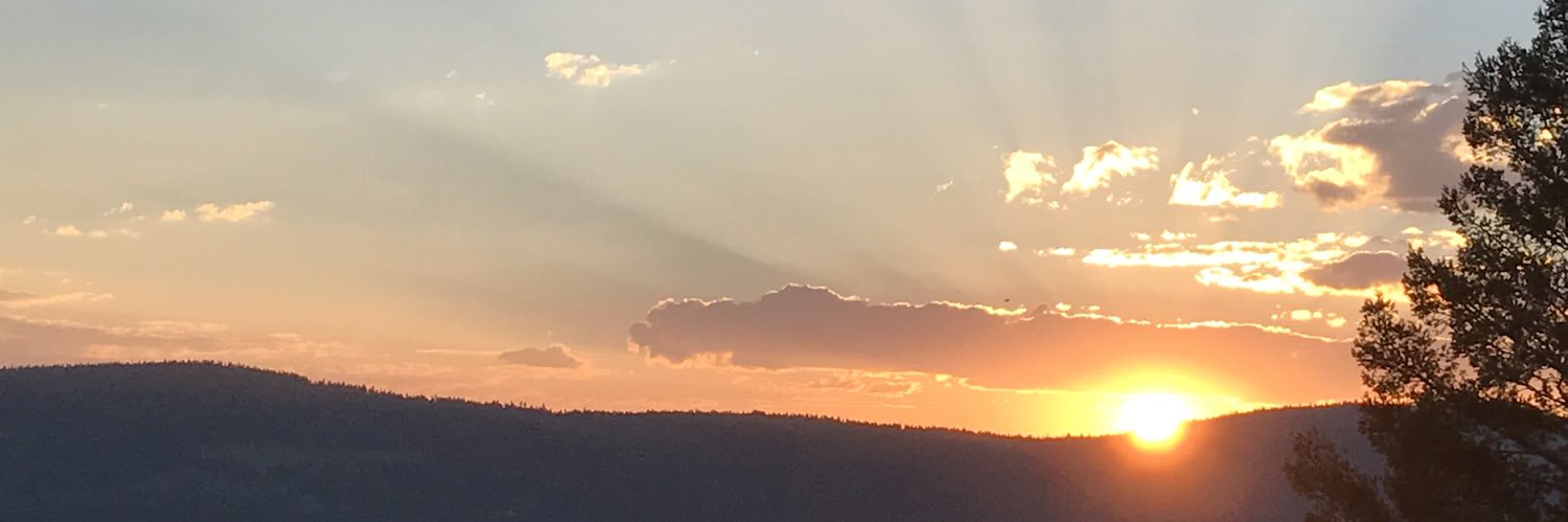 jenishipman's profile banner image