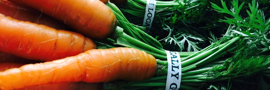 bountiful_csa's profile banner image