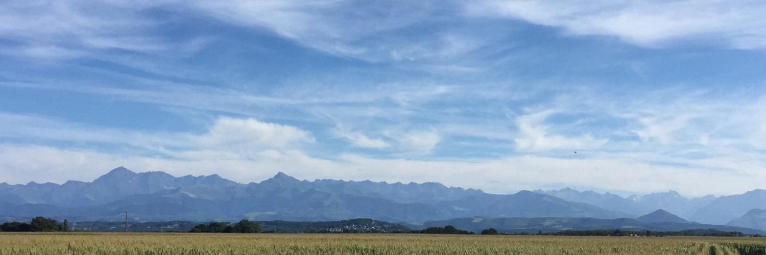 juliamesselt's profile banner image
