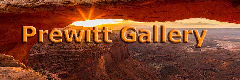 PrewittGallery's profile banner image