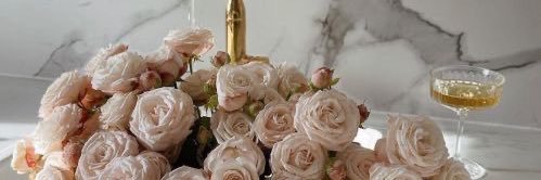 _pr1ya's profile banner image