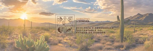 CEDESMX Profile Banner