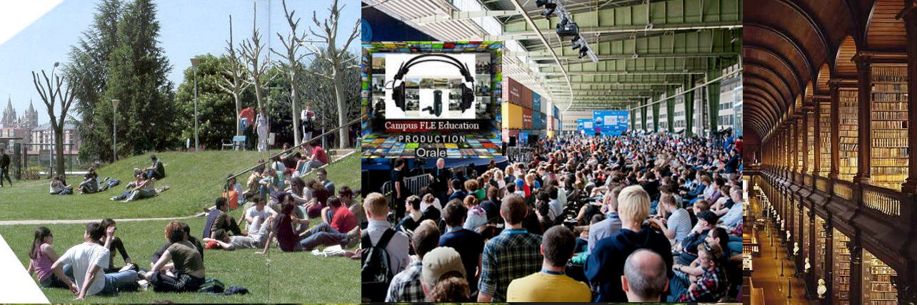 campusFLE's profile banner image