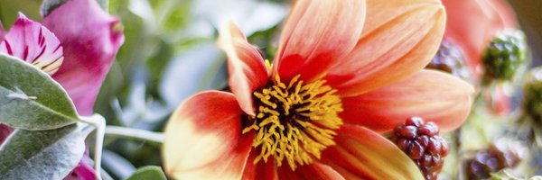 BIOladies Profile Banner