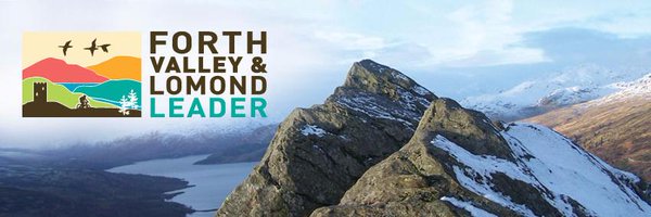 FvlLeader Profile Banner