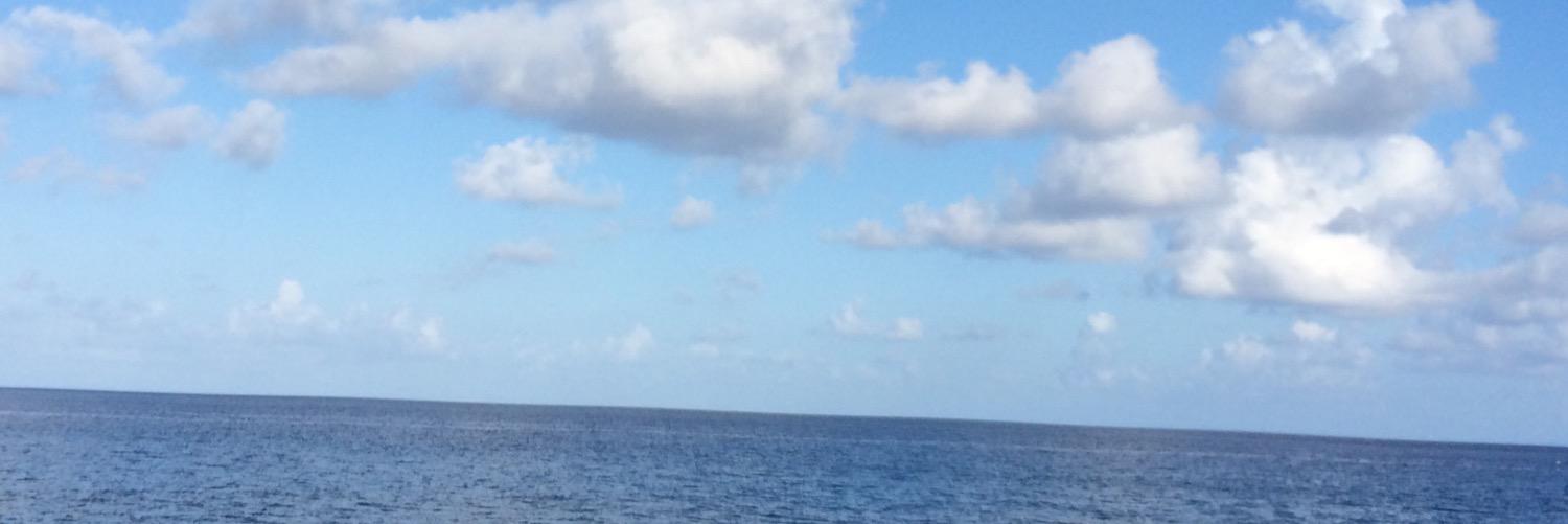 fernandaberti's profile banner image