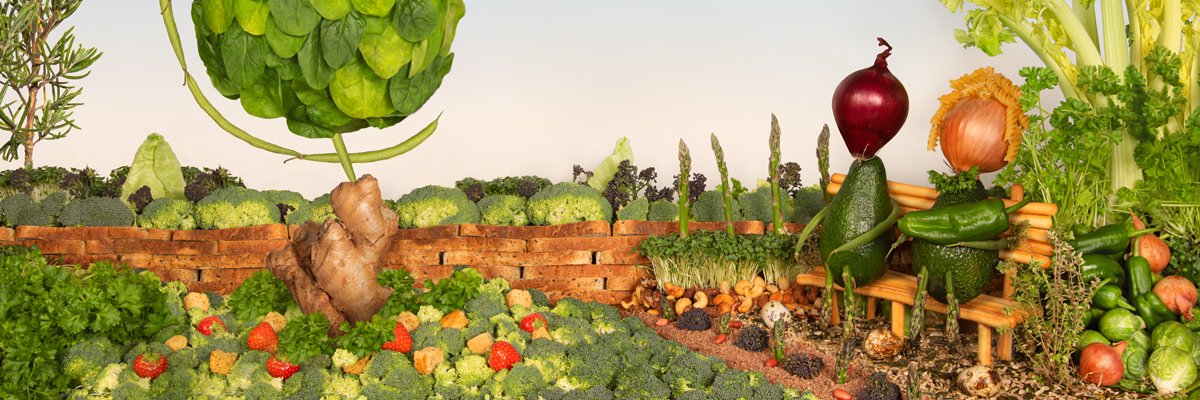 WJFGcomms's profile banner image