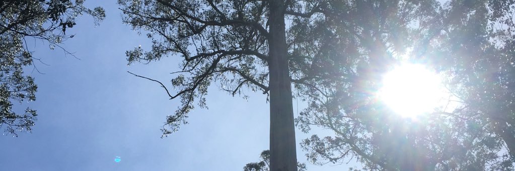 WillatBen's profile banner image