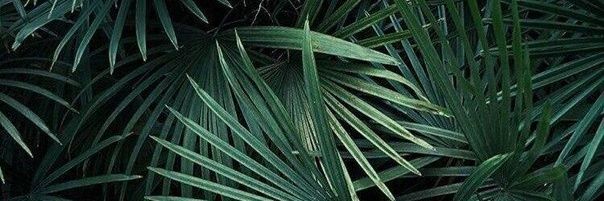 Kristrkris's profile banner image