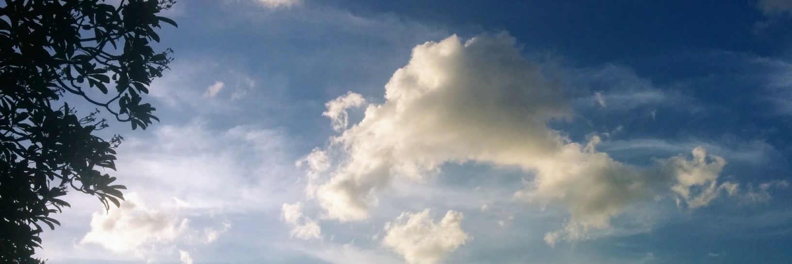 AlexChan45's profile banner image