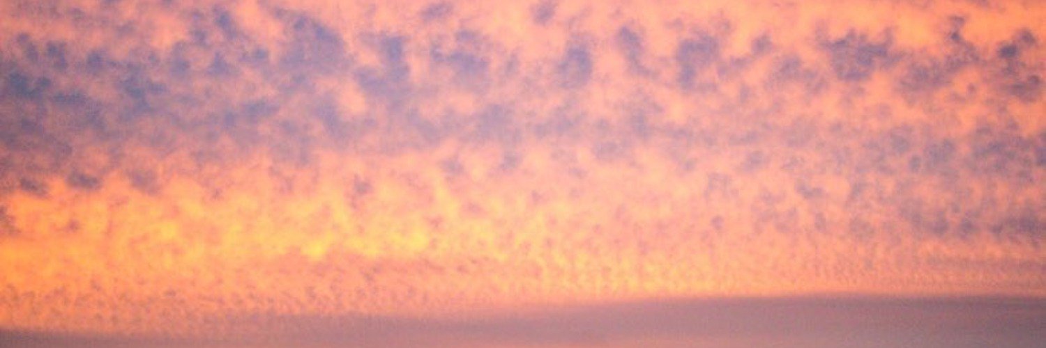 harriet_mcatee's profile banner image