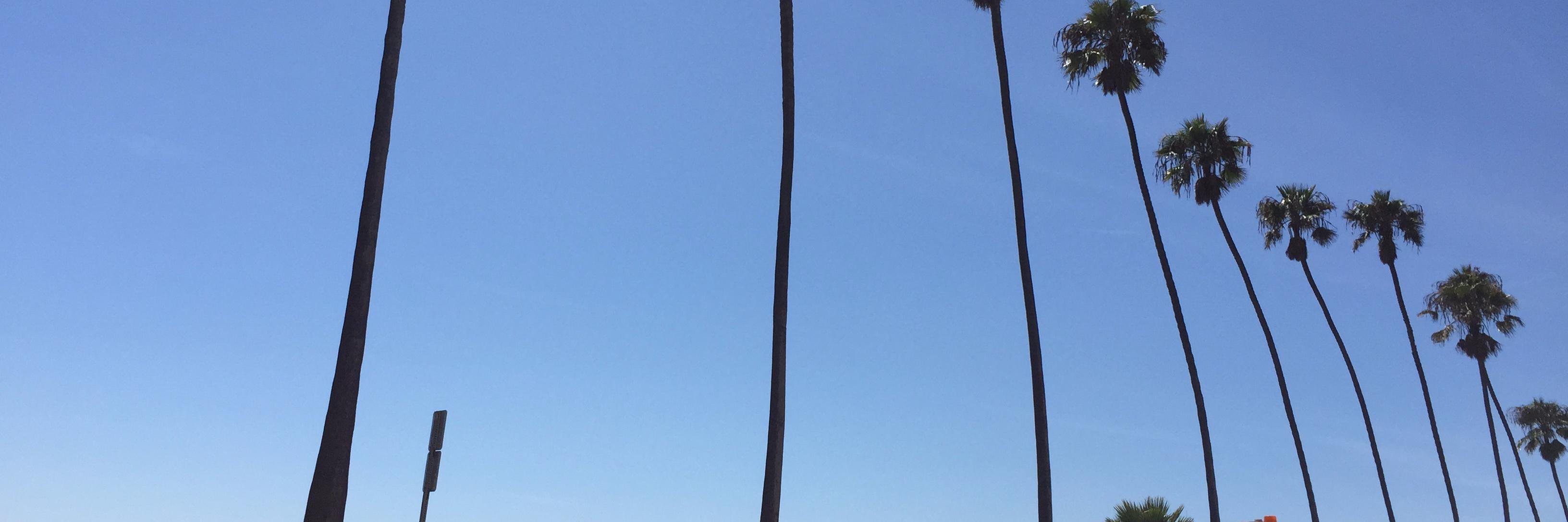 HeidiGro1's profile banner image