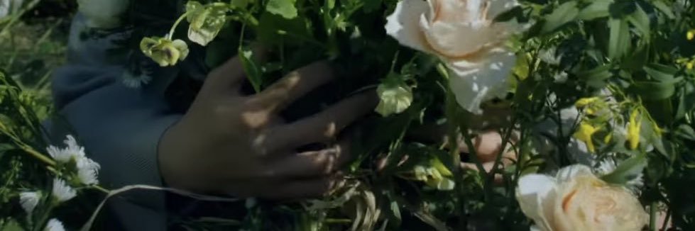 D_o_ya's profile banner image