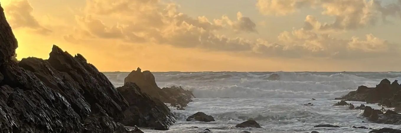 TommyDeSol's profile banner image