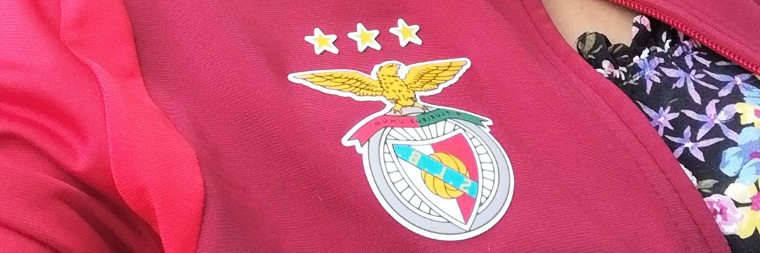 luzinhaa19's profile banner image