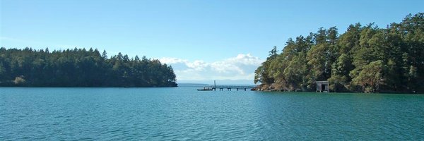 TimLong350 Profile Banner