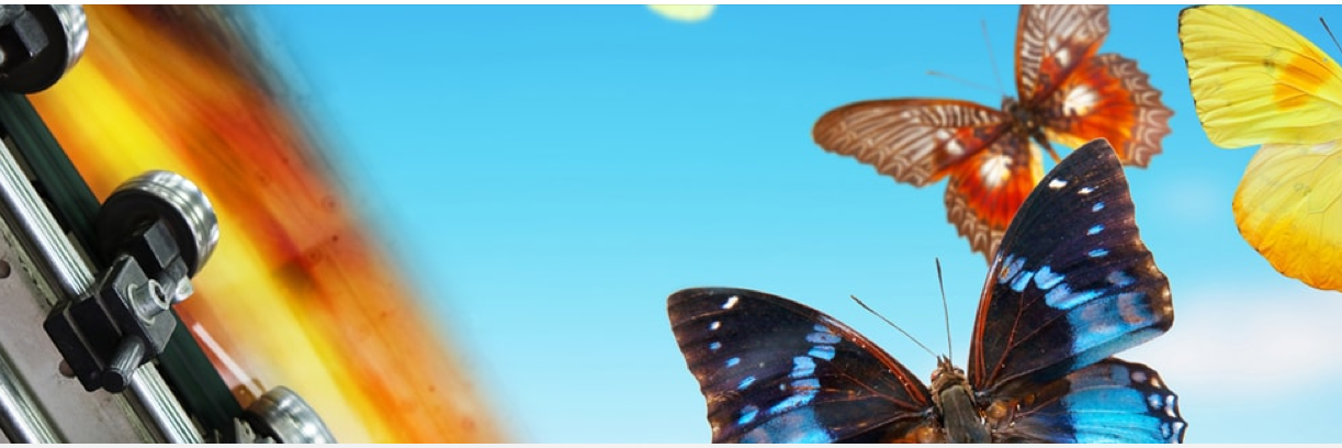 FundaciónEcofimática banner