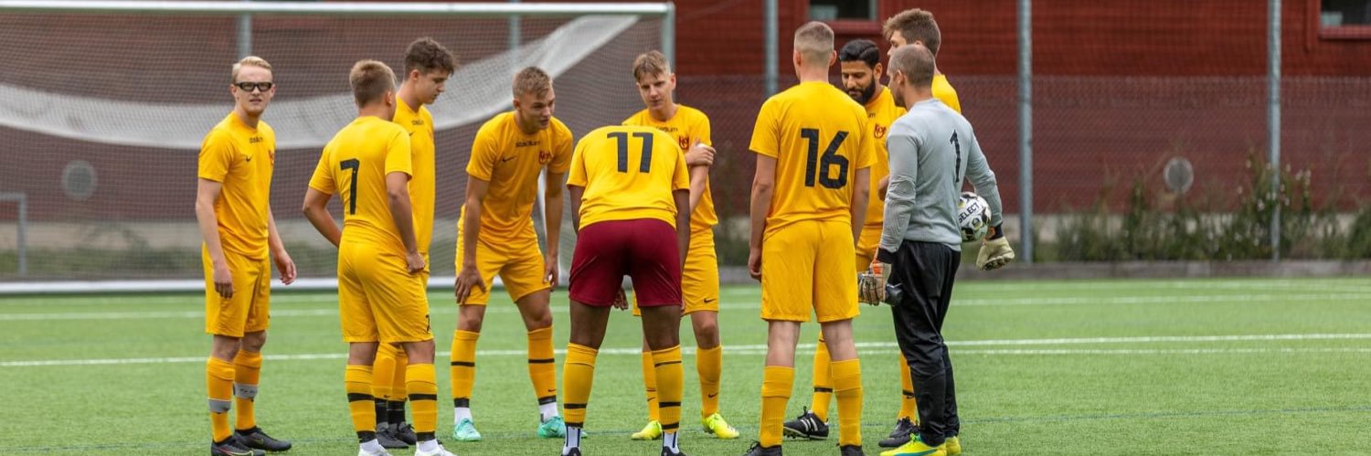 Elias Hammarstedt banner