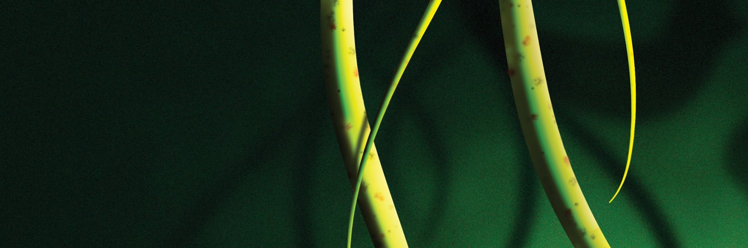 Little Shop of Horrors banner