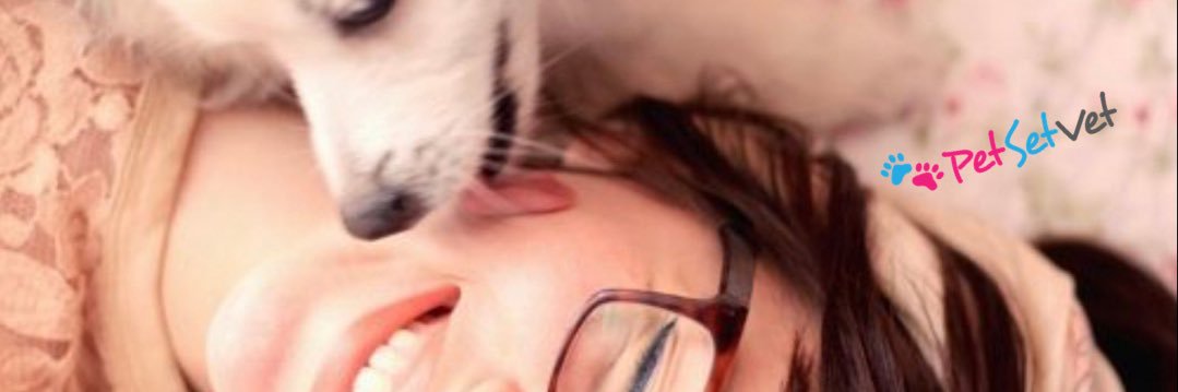 PetSetVet's profile banner image