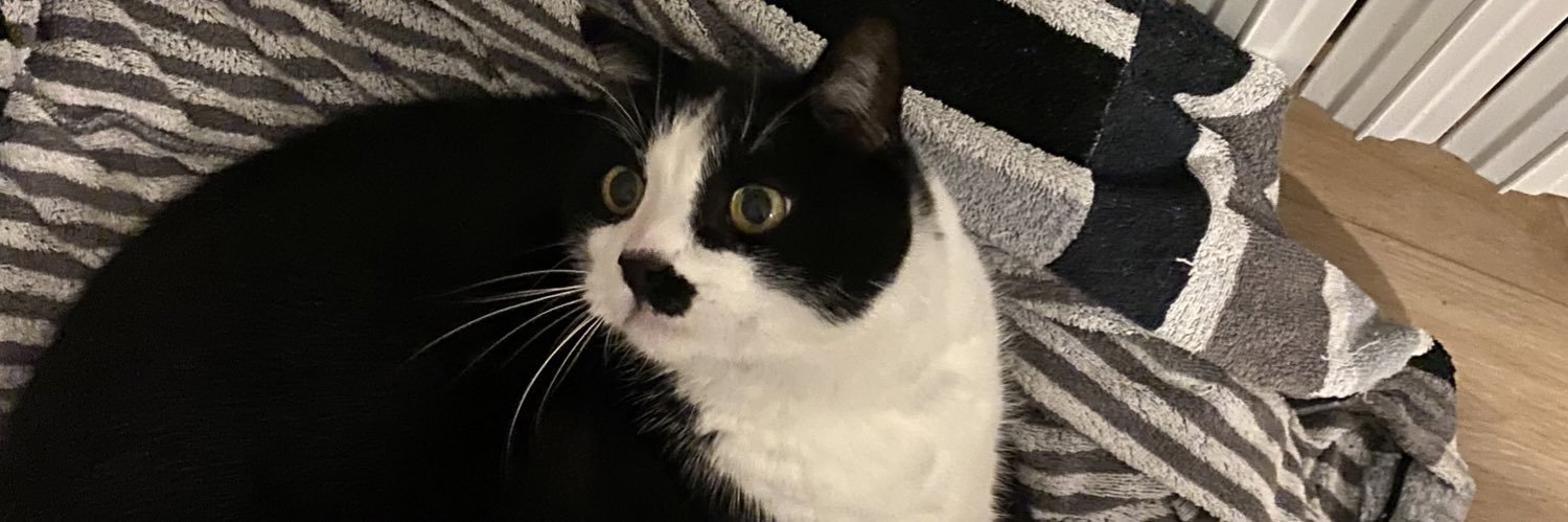 leovda71's profile banner image