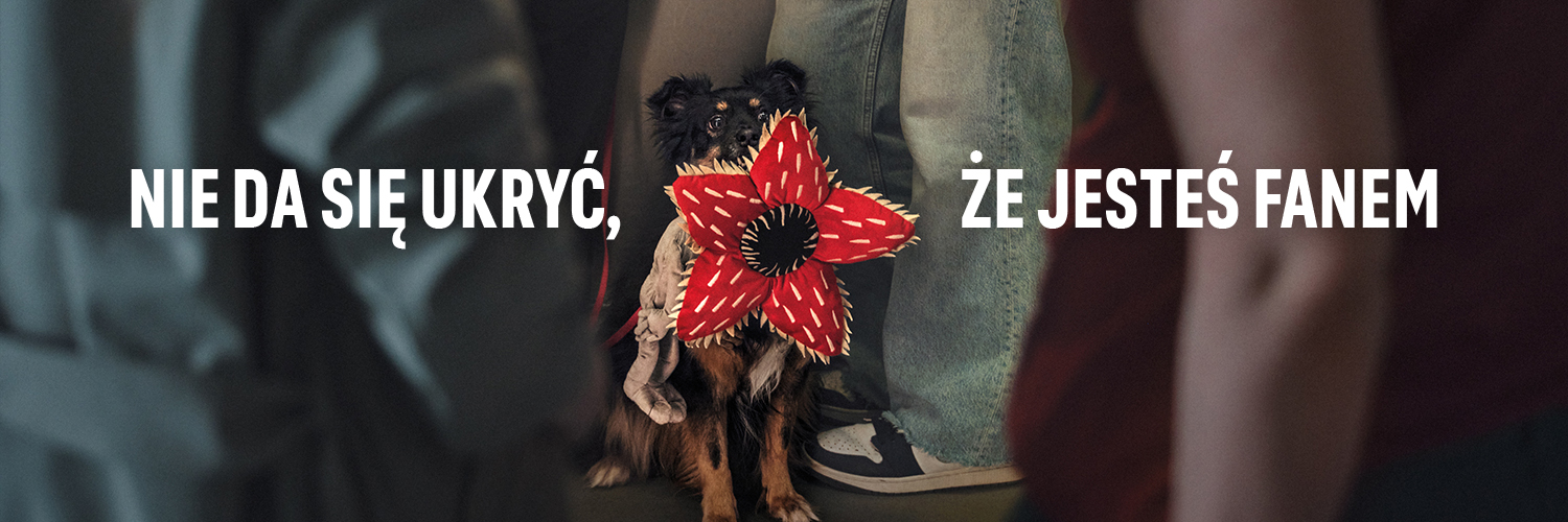 Netflix Polska banner