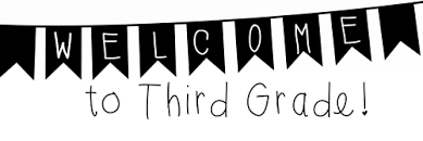 Mrs. Mastrogiovanni banner