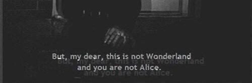 ᐢ. ̫ .ᐢ banner