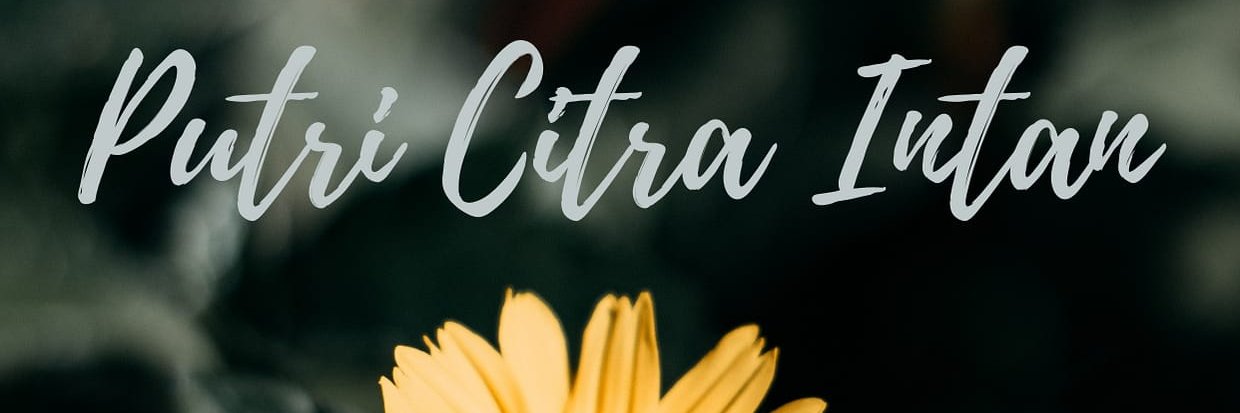 putricitraintan's profile banner image