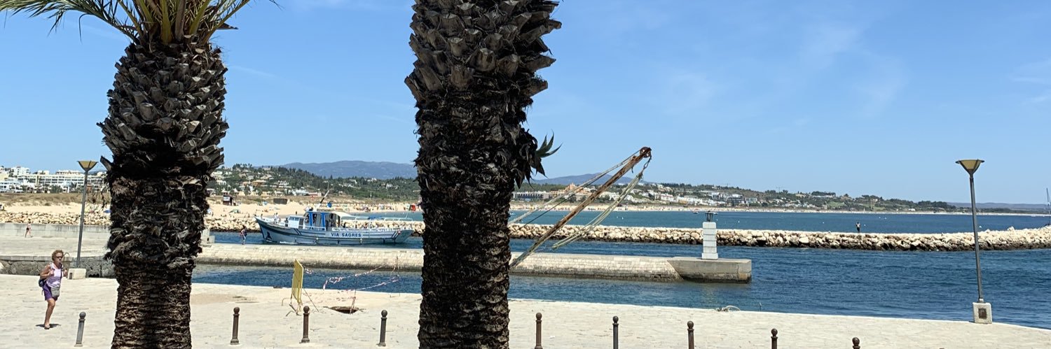 razvan murphy banner