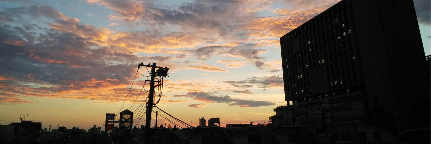 しばねこかしゅー's banner