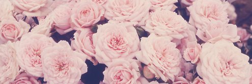vicctoriaact's profile banner image