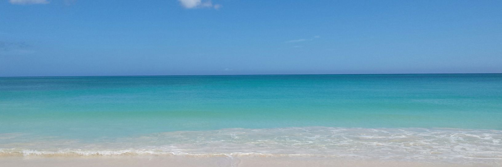 Lisa Paterson banner