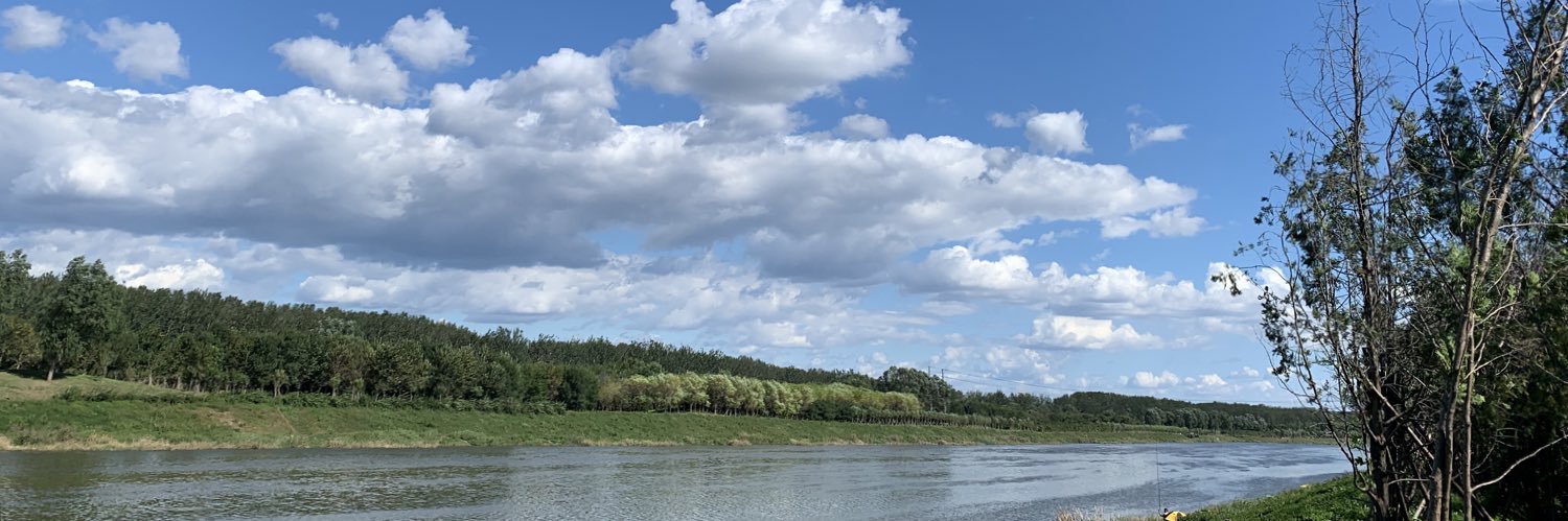 独立精神 banner