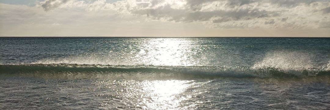 Alfonsolloret's profile banner image