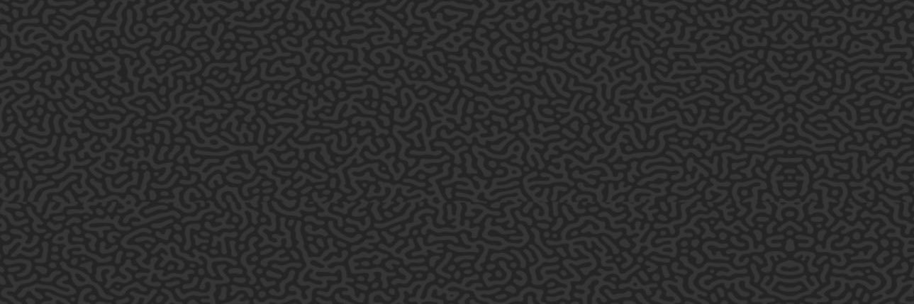 nhexen_unite's profile banner image