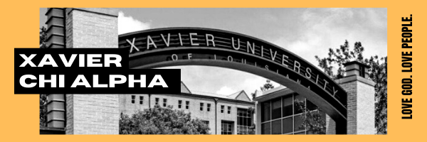 xulachialpha's profile banner image