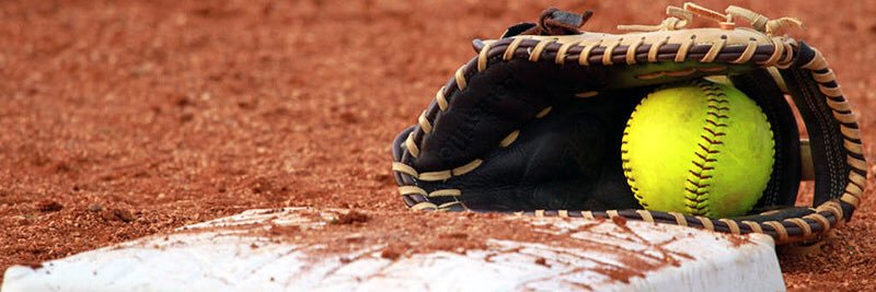 LHS Varsity Softball banner