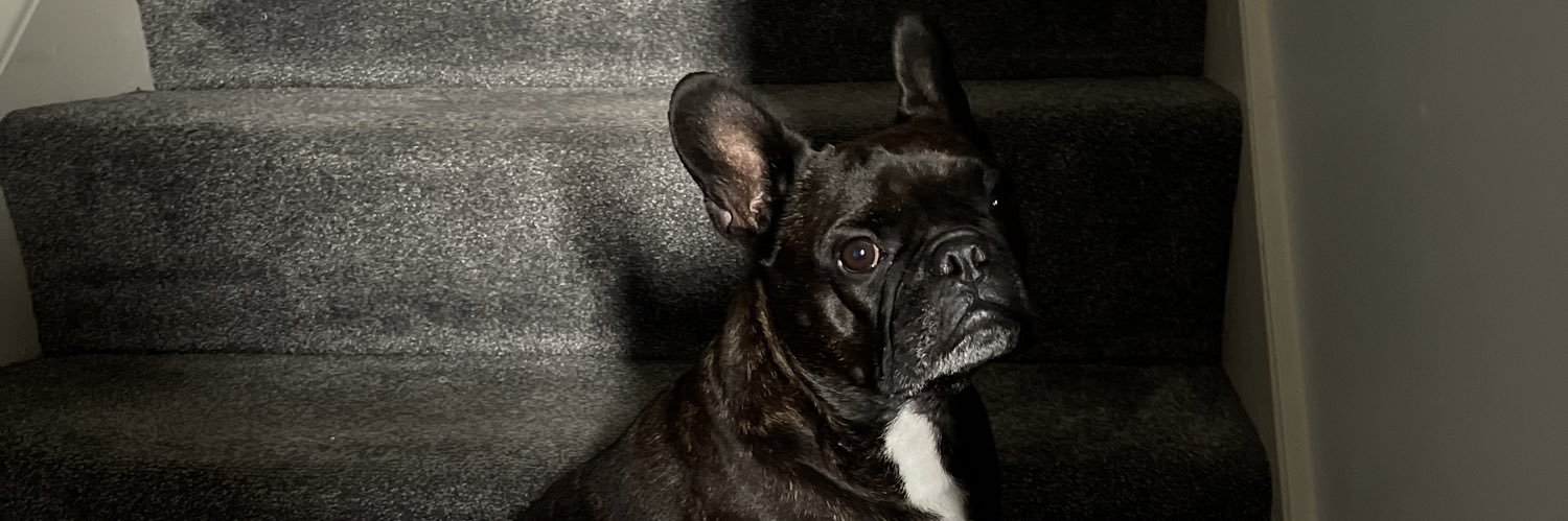 Mckenziejade_'s profile banner image