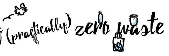 practicallyZW's profile banner image