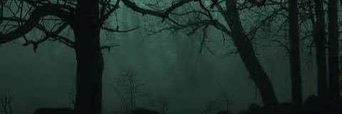 WeWereAllFine's profile banner image