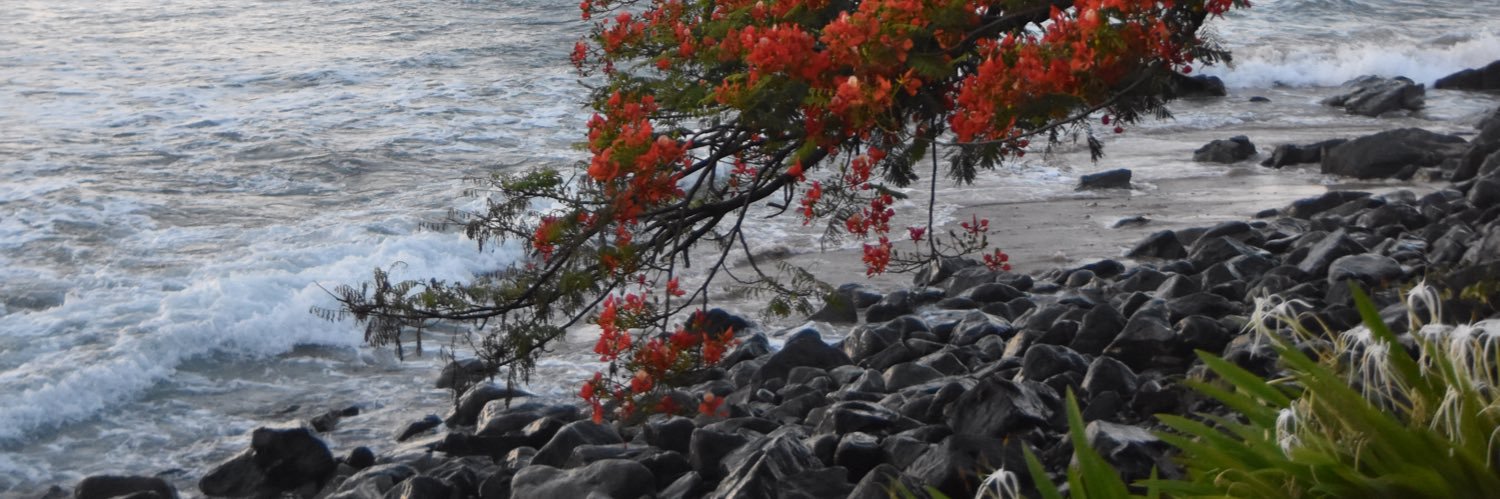 lorenamarolim's profile banner image