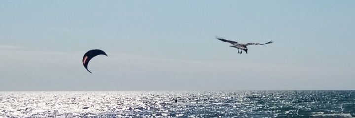 LucaCianca1's profile banner image
