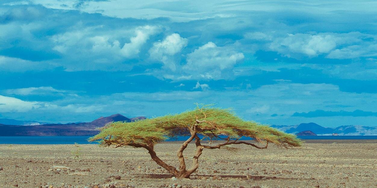 linukip's profile banner image