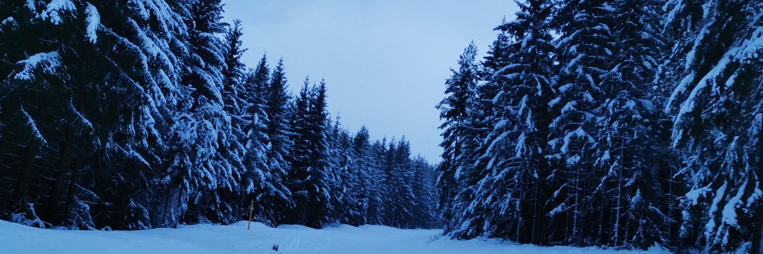 anni_urbach's profile banner image