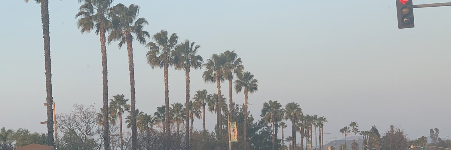 Dezaraee_'s profile banner image