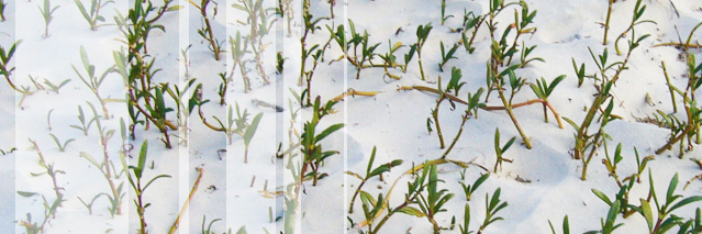 REsilienceLAB_'s profile banner image