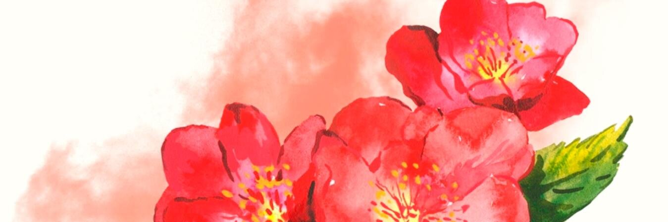 oksdmdv's profile banner image